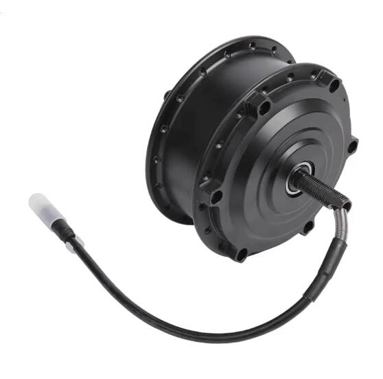Wanneer moet een e-bike-motor worden onderhouden of vervangen?